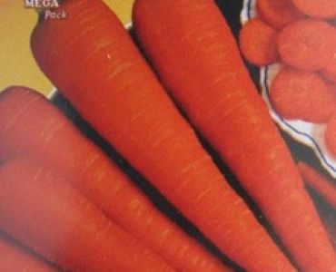 моркови Червени едри