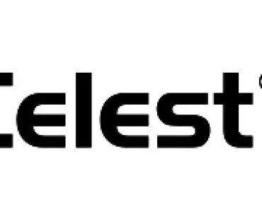 Целест Топ 313 ФС - ЗАБРАНЕН ПРЗ