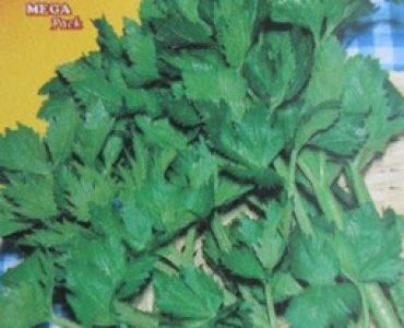 целина Листна