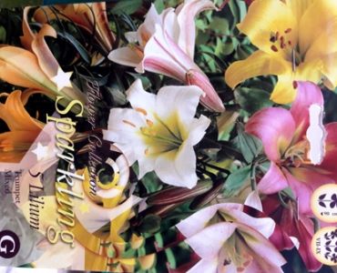 лилиуми Sparkling Trumpet mix