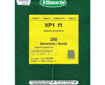домати VP1 F1