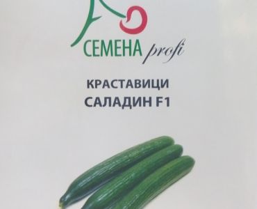 краставици Саладин F1