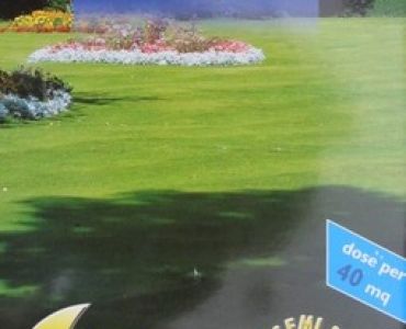 Тревна смес за сенчести терени