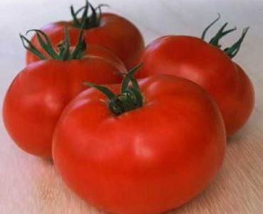 домати Белле F1