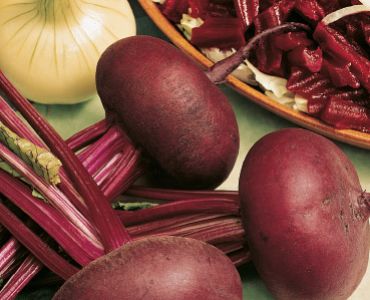 салатно цвекло Paonazza D’egitto`SG