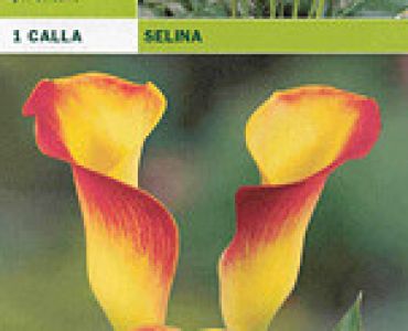 кала Selina (пакет)