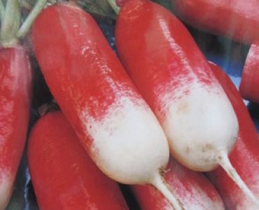 репички Френска закуска