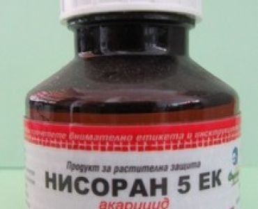 Нисоран 5 ЕК