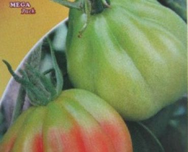 домати Сърцето на Албенга