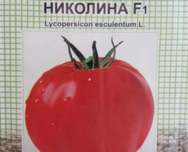 домати Николина F1
