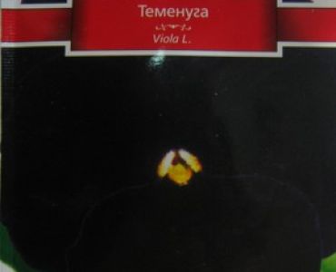 теменуга Тъмно кадифе