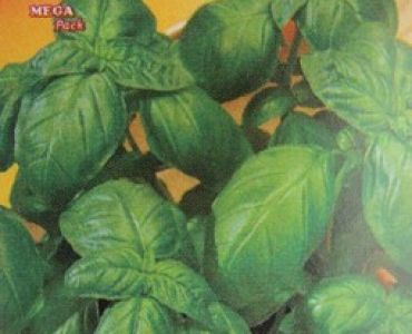 босилек Италиански класически