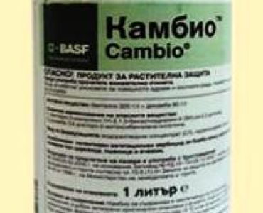 Рекорд пакет (Келвин ОД+Камбио ) 