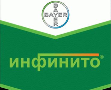 Инфинито СК