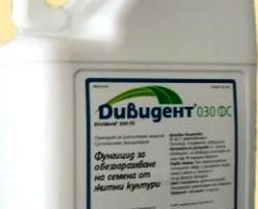 Дивидент Формула М