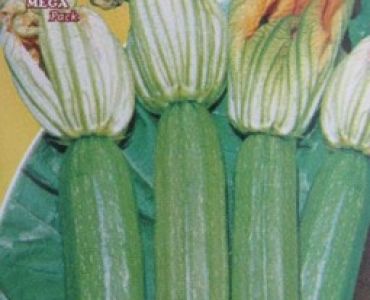 тиквички Тънки