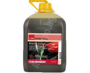 Кинто Плюс - ЗАБРАНЕН ПРЗ