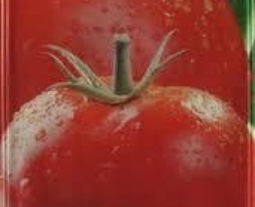 домати Кармело F1