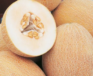 пъпеш Ананас`SG