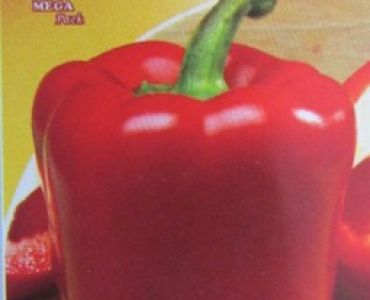 пипер Калифорнийско чудо (червен)