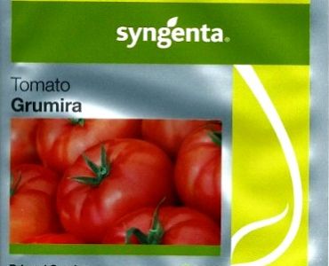 домати Грумира F1/ Т 47 812
