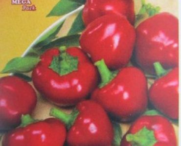 пипер Малки камбички (италиански)