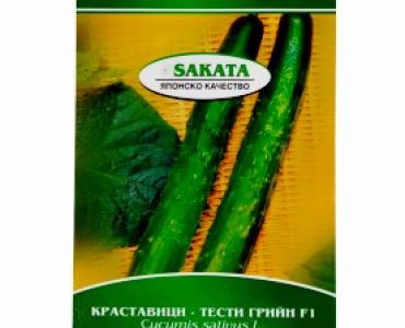краставици Тести Грийн F1