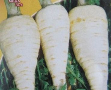 магданоз Коренов