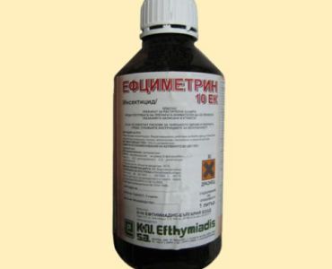 Ефциметрин 10 ЕК