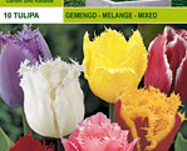 Лалета Crispa микс 10 бр (пакет)