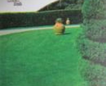 Декоративен троскот