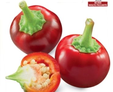 пипер Чили Чери`SG