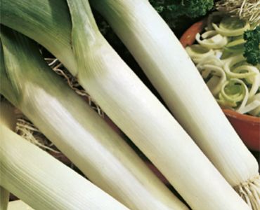 праз Карентан`SG