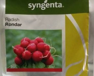 репички Рондар F1