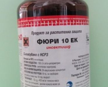 Фюри 10 ЕК - ЗАБРАНЕН ПРЗ