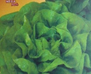 салата Трокадеро