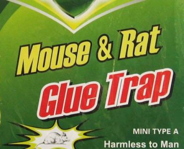 Леплив капан за гризачи - Mouse and Rat