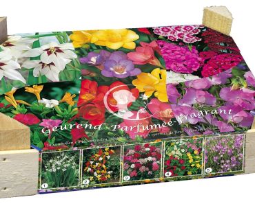 Цветен микс от пролетни цветя (70 луковици)