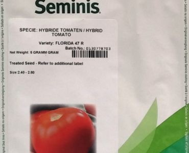 домати Флорида