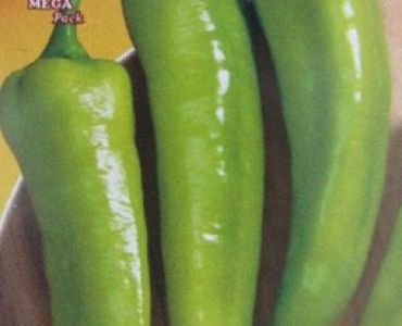 пипер Р13 тип Сиврия