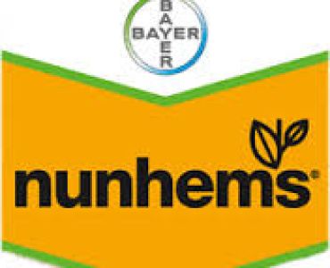 Репички Сора