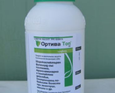 Ортива Топ СК