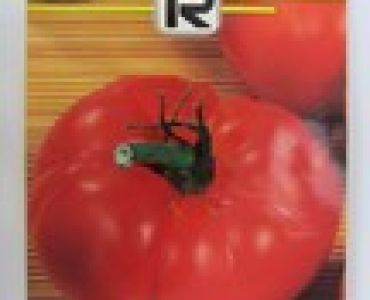 Домати Бифмастер F1 - хибрид - 800 сем