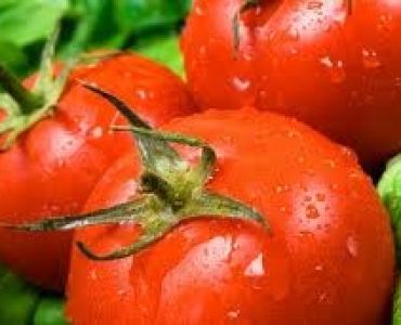 домати Велосити F1