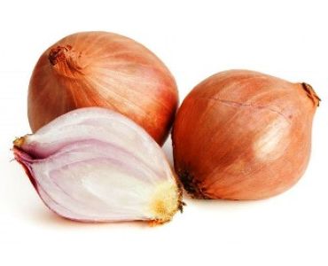 Лук Red Sun (Шалот)