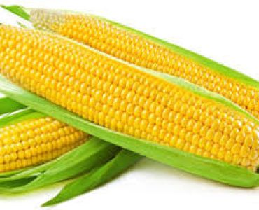 захарна царевица Tasty Gold F1