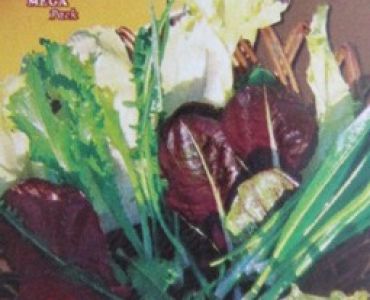 Цикория микс - Четири сезона