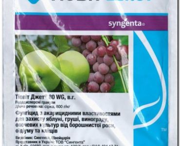 Тиовит Джет