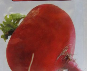 ряпа Червена кръгла