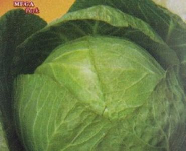 зеле Копенхаген Маркет 2